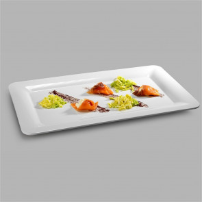 Gastronorm 1/1 buffet tray in melamine Model MPV22150